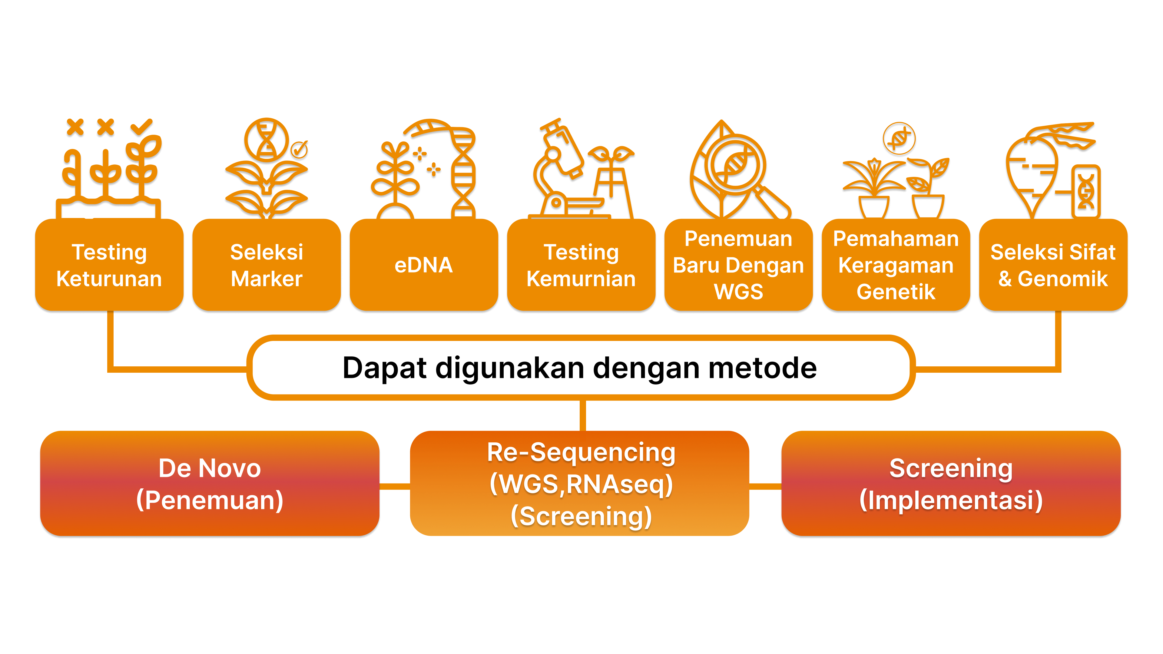 Agrigenomik - website