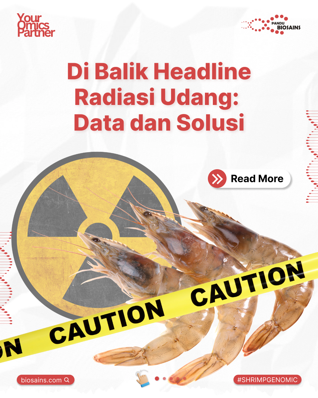 Radiasi Udang Indonesia: Fakta, Data, dan Solusi Genomik untuk Ketertelusuran